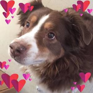 Meet your Posher, Joanna